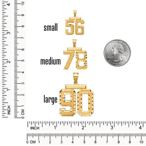 Number pendants in small, medium and large sizes measured against a ruler next to a quarter